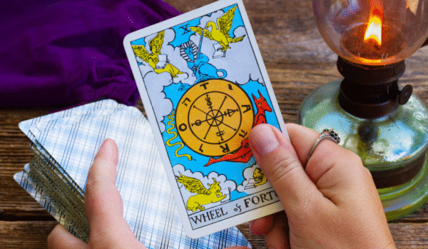 Wheel of Fortune tarot card drawn for love and destiny — guided by Ruhii Rai, Bhopal-based tarot and numerology expert.